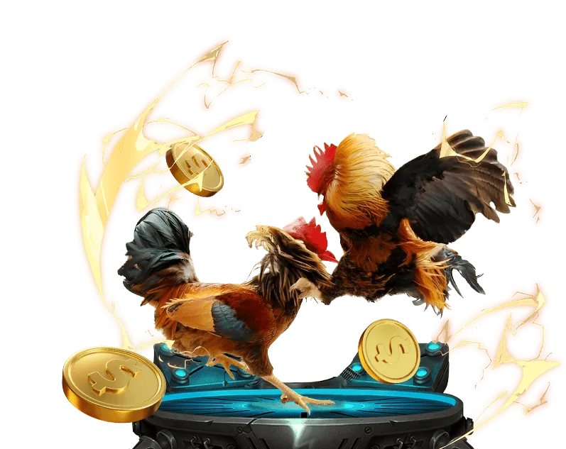 Cá cược thể thao tại 007win